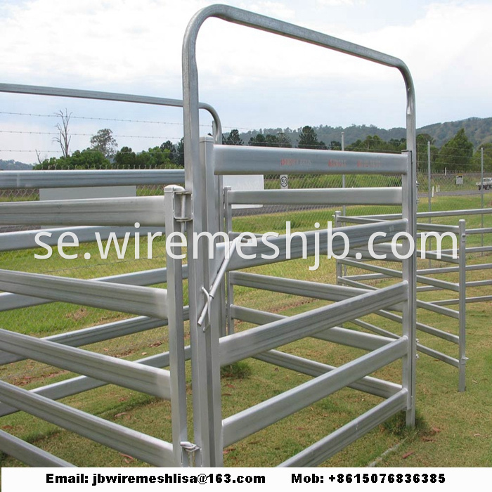 Hot Dipped Galvanized Metal Horse Fence Panel